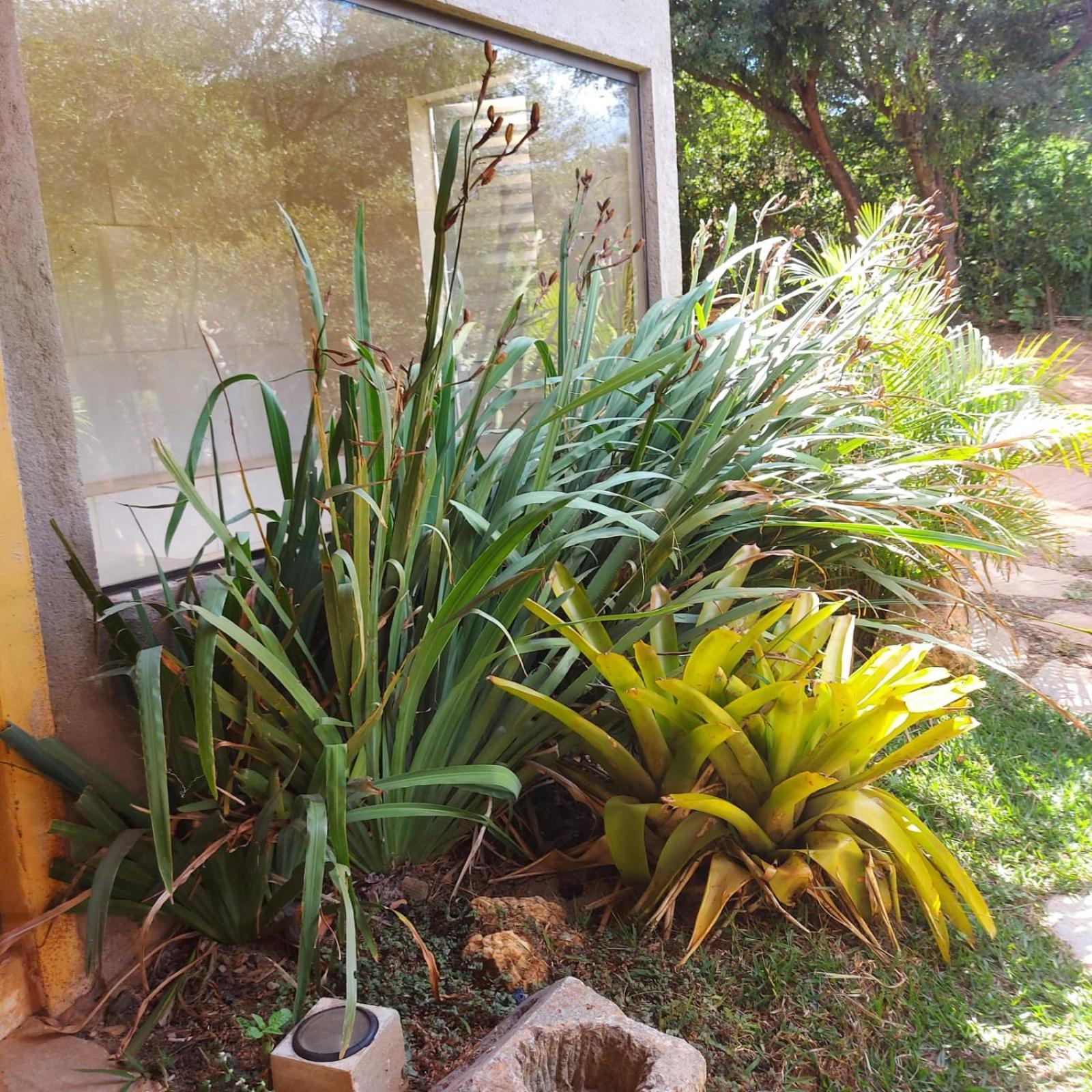 Casas E Apartamentos Da Praia, Lapinha Na Beira Do Lago Santana Do Riacho Exterior photo